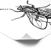 ハウスフライ フォトプリント            (角)