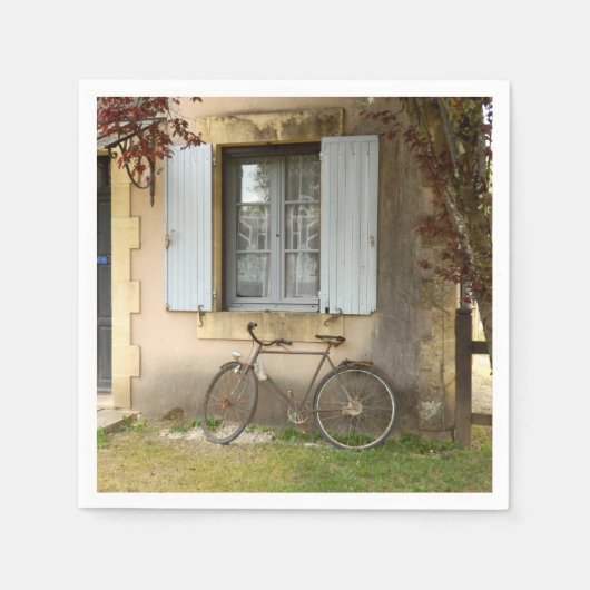 ハウスフランスの紙ナプキンス スタンダードカクテルナプキン (正面)