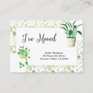 ハウスプランツ&グリーンテラゾイヴムーブ エンクロージャーカード