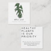 ハウスプラントボタニカルモンステラ専門植物学者 スクエア名刺 (正面/裏面)