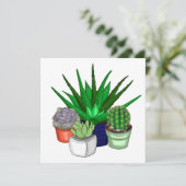 ハウスプラント |多肉類 サンキューカード (スタンド正面)