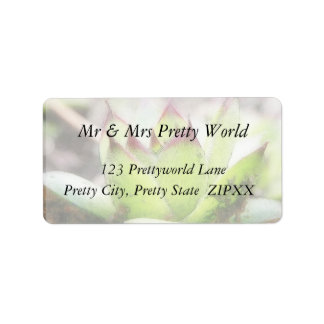 ハウスレック – センペルヴィヴム ラベル