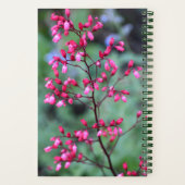 ハウチェラコーラルベルフローラ ノートブック (裏面)