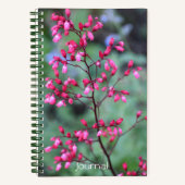 ハウチェラコーラルベルフローラ ノートブック (正面)