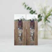 ハウディ・ハウディ・ホース・ブックマーカー ポストカード (スタンド正面)