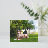 "ハウディ＆バックルル―"  ポストカード (スタンド正面)