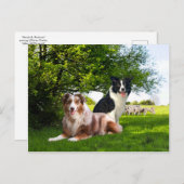 "ハウディ＆バックルル―"  ポストカード (正面/裏面)