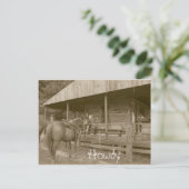 ハウディ ポストカード (スタンド正面)