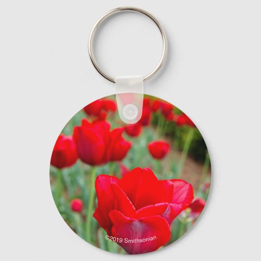 ハウプト球根、クローズアップ キーホルダー (正面)
