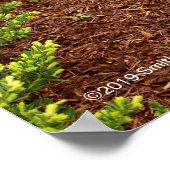 ハウプト球根 ポスター (角)