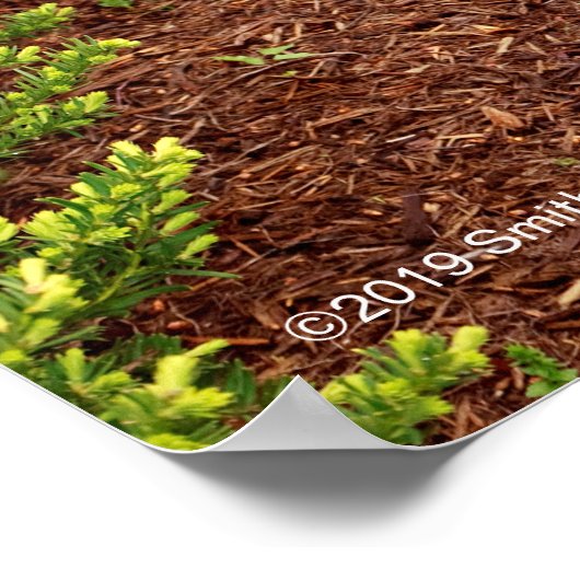 ハウプト球根 ポスター (角)