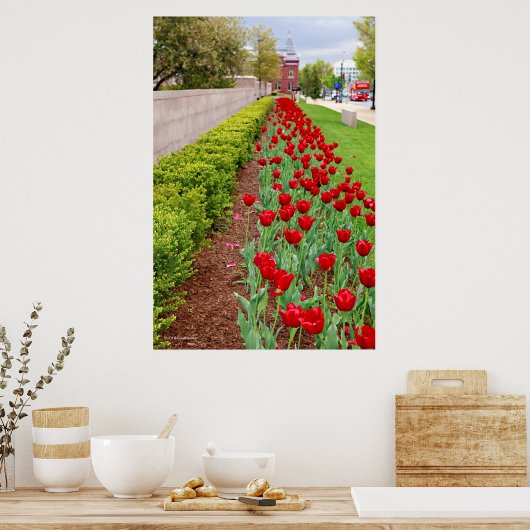 ハウプト球根 ポスター (キッチン)