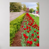 ハウプト球根 ポスター (正面)