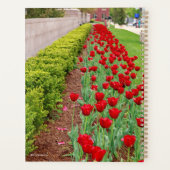 ハウプト・バルブズ プランナー手帳 (裏面)