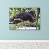 ハウラーモンキーハングアウト キャンバスプリント (インサイチュ (ウッドフロア))