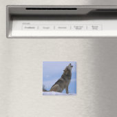 ハウリングアラスカンティンバルオオカミ マグネット (インサイチュ (食洗機))