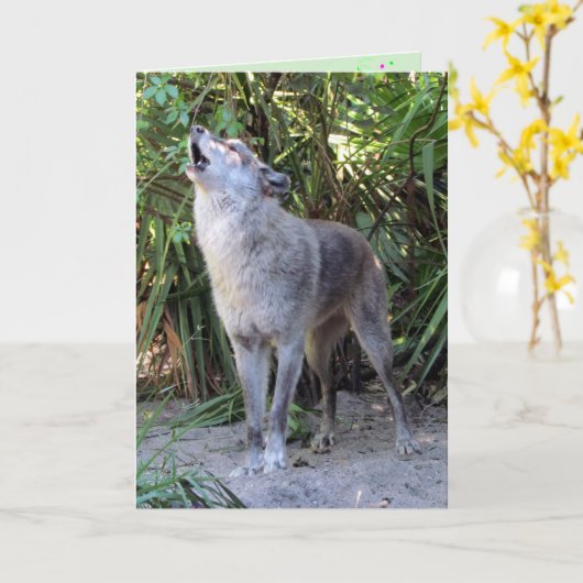 ハウリングウルフ誕生日カード カード (黄色い花)