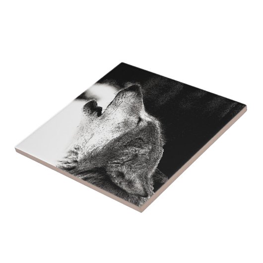 ハウリングウルフ タイル (側面)