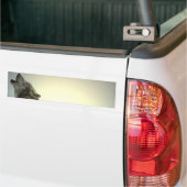 ハウリングウルフ バンパーステッカー (トラック上)