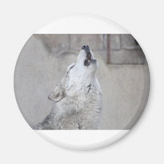 ハウリングウルフ マグネット