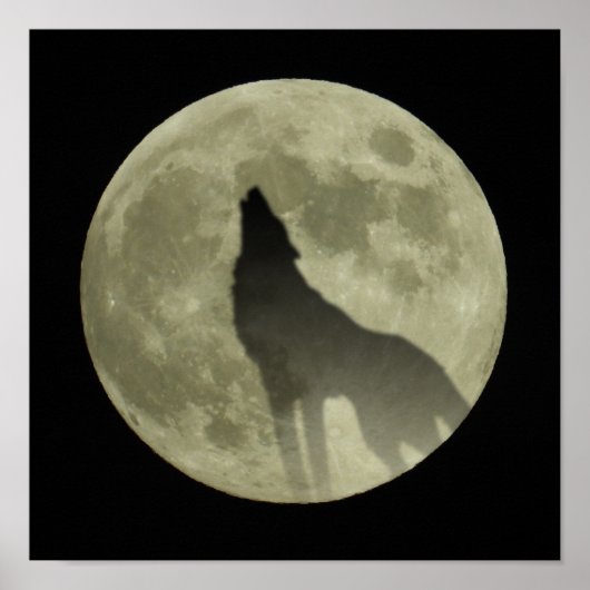 ハウリングオオオカミ ポスター (正面)