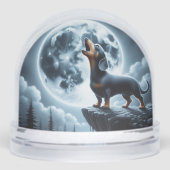 ハウリングダシュント (正面)