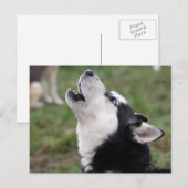 ハウリングハスキー ポストカード (正面/裏面)