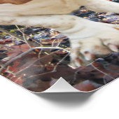 ハウリングバセットハウンドウッドランドのポスター ポスター (コーナー)