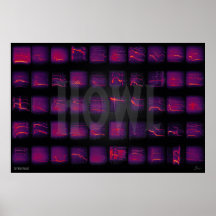 ハウル：オオカミの秘密言語