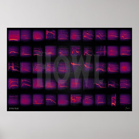 ハウル：オオカミの秘密言語 ポスター (正面)