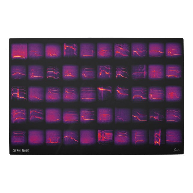 ハウル：オオカミの秘密言語 メタルプリント (正面)