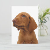 ハウンドドッグ招待状 招待状 (スタンド正面)