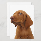 ハウンドドッグ招待状 招待状 (正面/裏面)