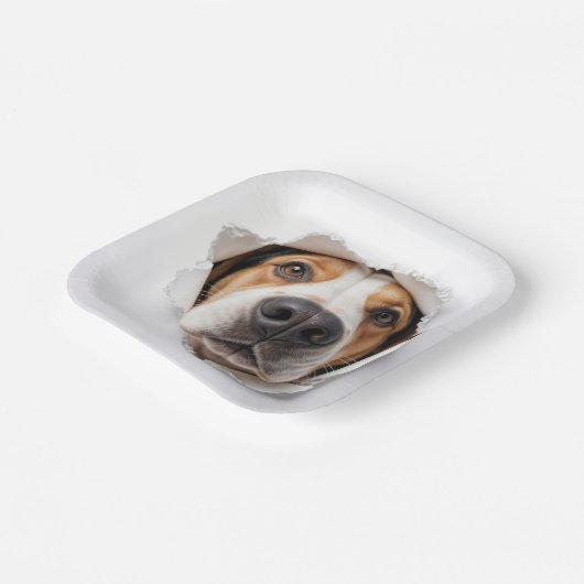 ハウンド犬が引き裂かれた紙穴を覗く ペーパープレート (傾斜あり)