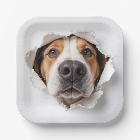 ハウンド犬が引き裂かれた紙穴を覗く ペーパープレート (正面)