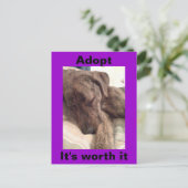 ハウンド葉書を印刷 ポストカード (スタンド正面)