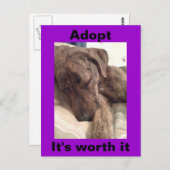 ハウンド葉書を印刷 ポストカード (正面/裏面)