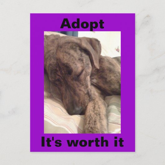 ハウンド葉書を印刷 ポストカード (正面)