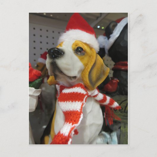 ハウンド装飾 ポストカード (正面)