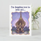 ハウンド・ドッグ・パーティセンター 招待状 (スタンド正面)