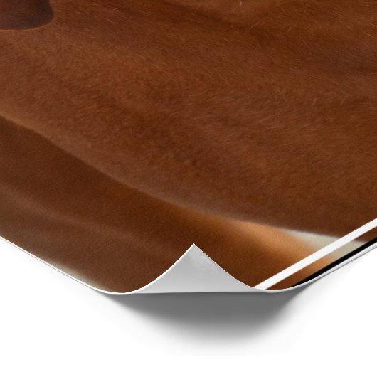 ハウンド ポスター (角)