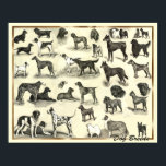 ハウンド – 犬種 – ハンズプリント犬 ポスター<br><div class="desc">テリア、シープドッグ、ブルドッグ、プードル、マスティフ、ポインタ、レトリバー、セッター、各種ハウンドなど、様々な犬種のビンテージのポスター。</div>