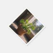 ハエのついたウメボシソウの鉢植え スタンダードカクテルナプキン (角)