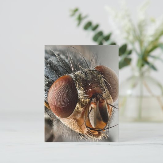 ハエのマクロ写真 ポストカード (スタンド正面)