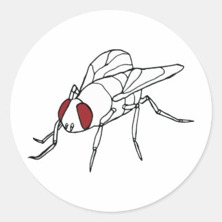 ハエの昆虫のイラストレーション図 ラウンドシール