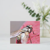 ハエの昆虫 ポストカード (スタンド正面)