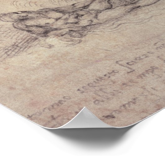 ハエソン秋, 1533 ポスター (角)