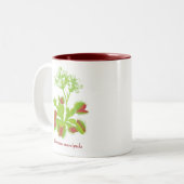 ハエトリグサのコーヒー・マグ ツートーンマグカップ (正面左)