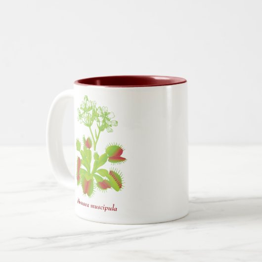 ハエトリグサのコーヒー・マグ ツートーンマグカップ (正面左)