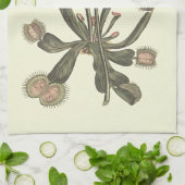 ハエトリソウの植物画 キッチンタオル (折り畳み)